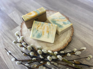 woodland pine soap vetiver, pine & cedar wood 